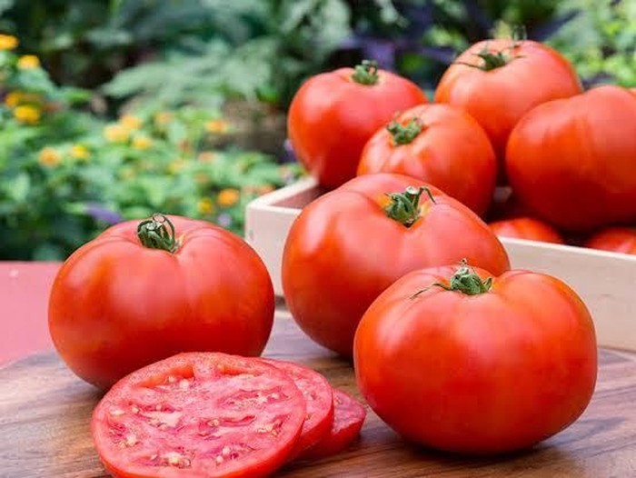 Manfaat Baik Yang Bisa Anda Dapatkan Dari Tomat